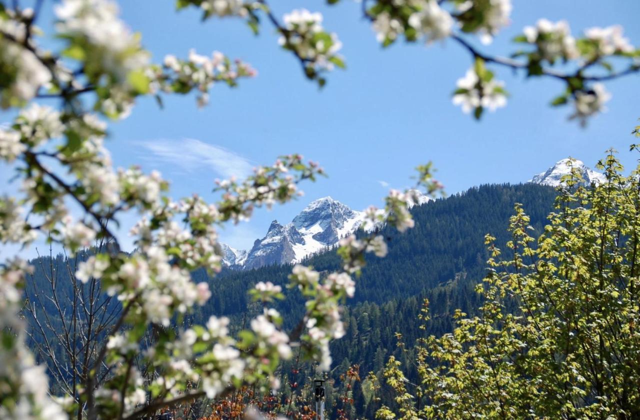 Landhaus Bergner Alm Fusch an der Glocknerstraße Exterior foto