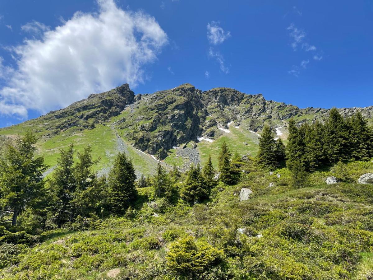 Landhaus Bergner Alm Fusch an der Glocknerstraße Exterior foto