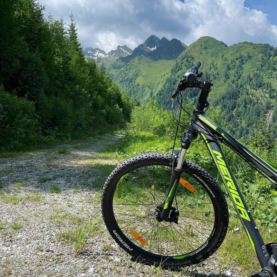 Landhaus Bergner Alm Fusch an der Glocknerstraße Exterior foto