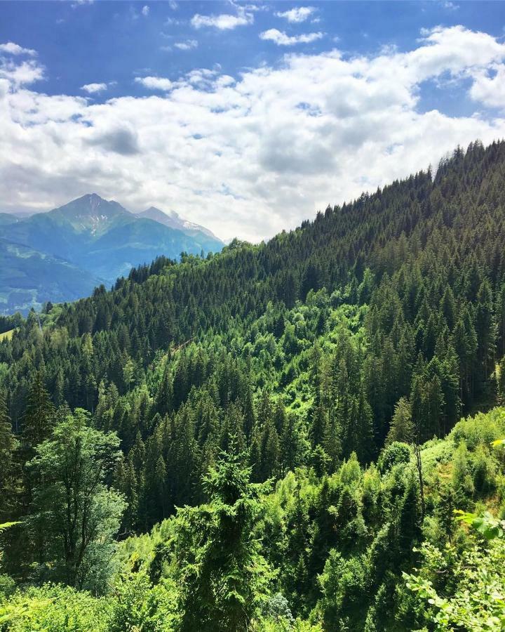 Landhaus Bergner Alm Fusch an der Glocknerstraße Exterior foto